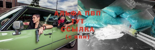 стаф Аркадак