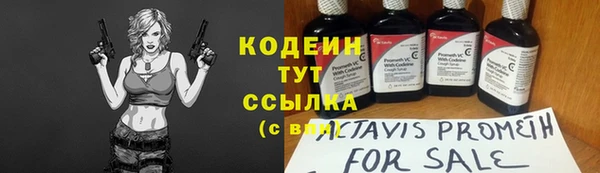 стаф Аркадак