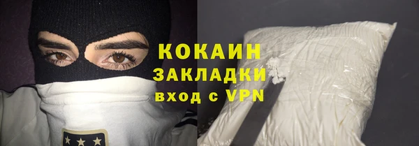 стаф Аркадак