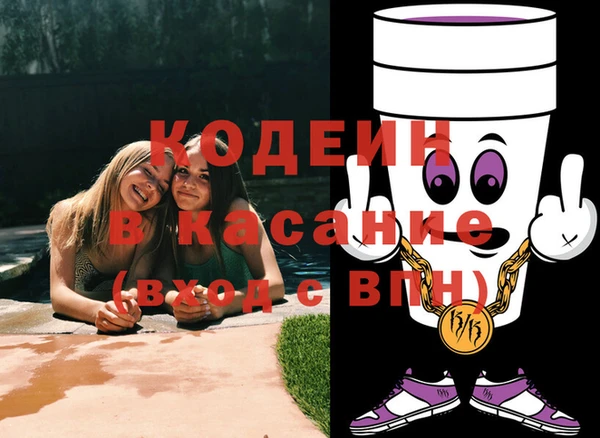 стаф Аркадак