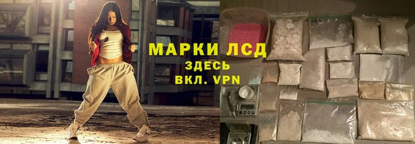 стаф Аркадак
