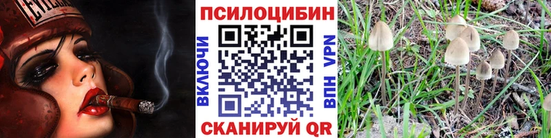 Купить закладки  Воткинск  Псилоцибиновые грибы GOLDEN TEACHER 